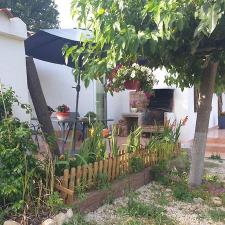 Sous Les Chenes Hotel Saint-Martin-de-Bromes Luaran gambar