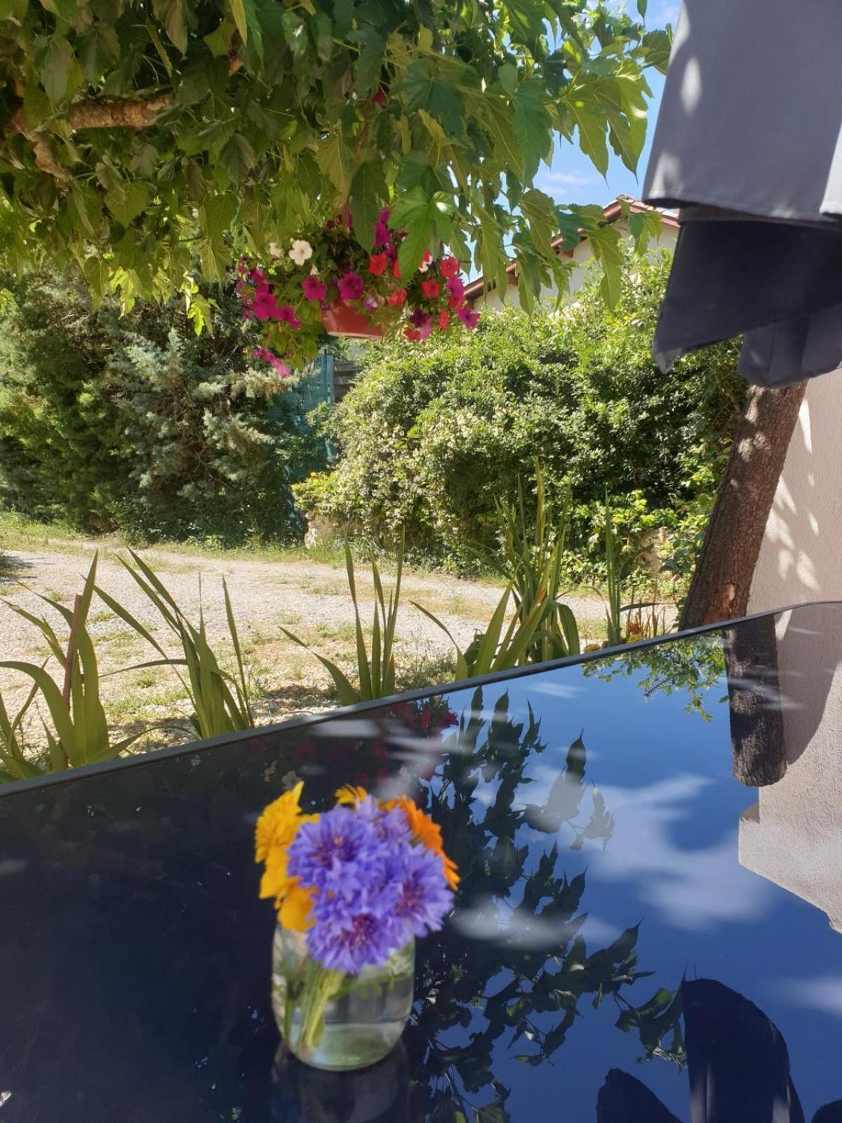 Sous Les Chenes Hotel Saint-Martin-de-Bromes Luaran gambar