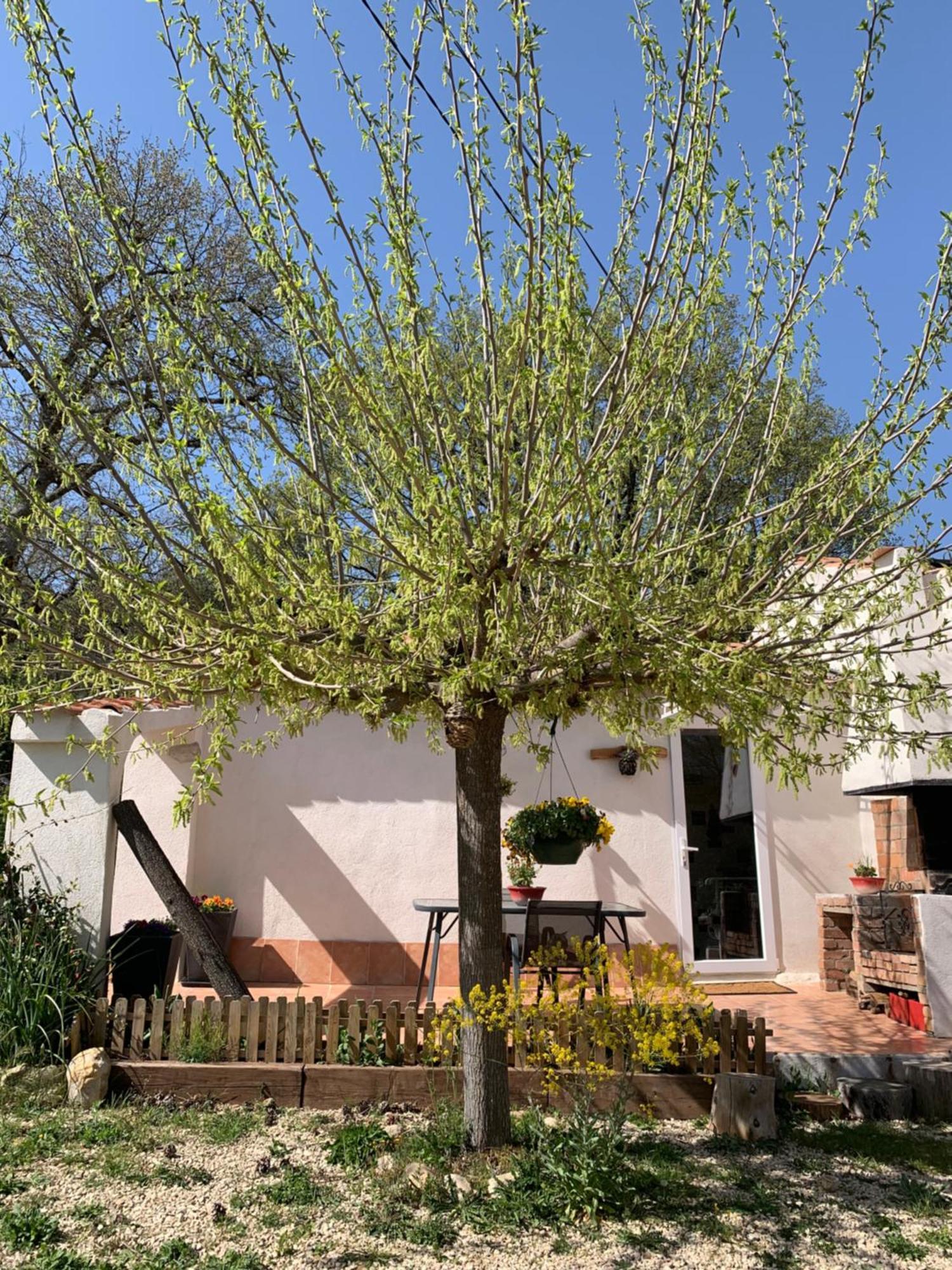 Sous Les Chenes Hotel Saint-Martin-de-Bromes Luaran gambar